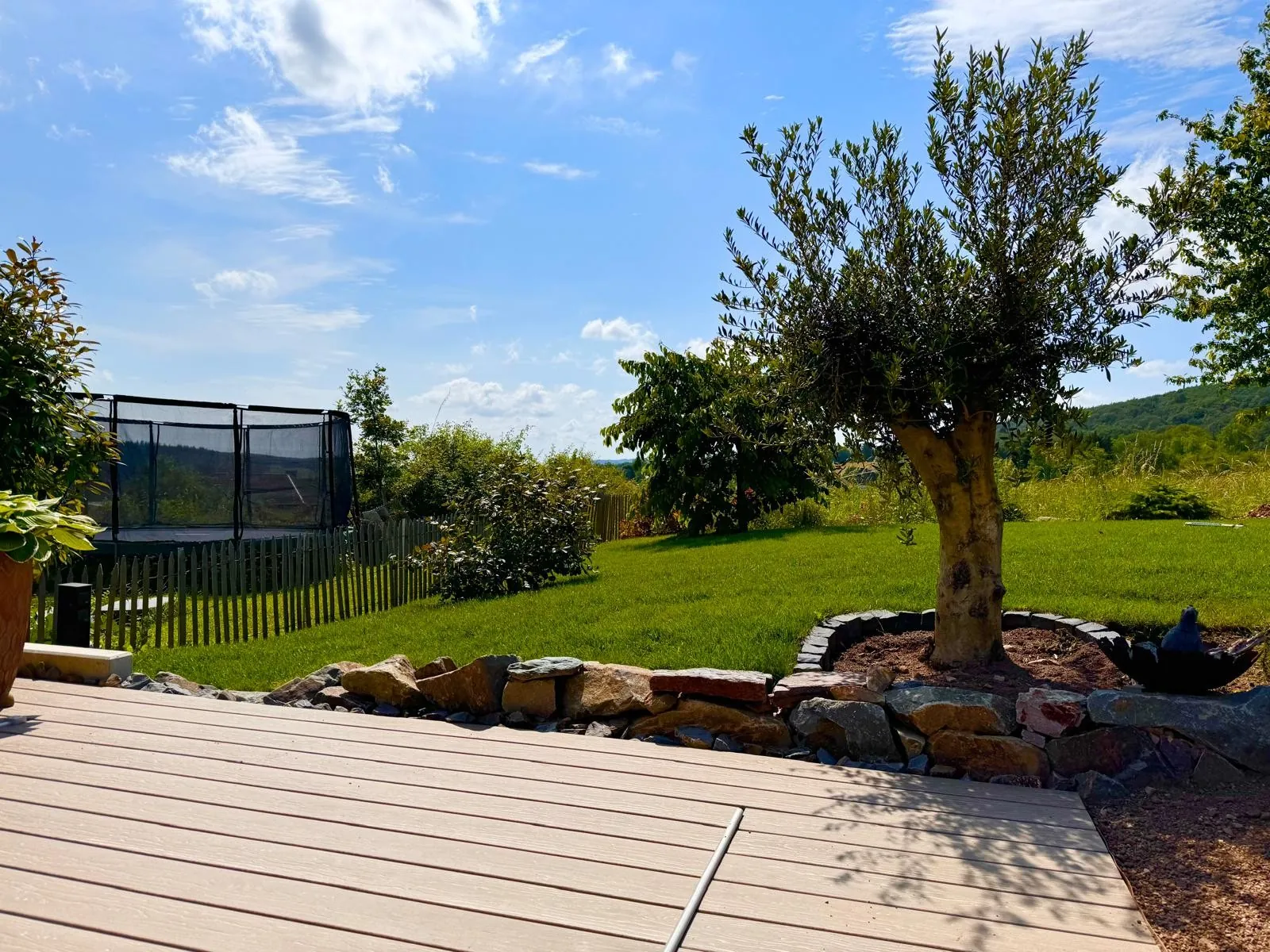 Gartengestaltung mit Rollrasen & Terrasse